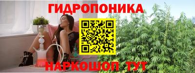 трава Кингисепп
